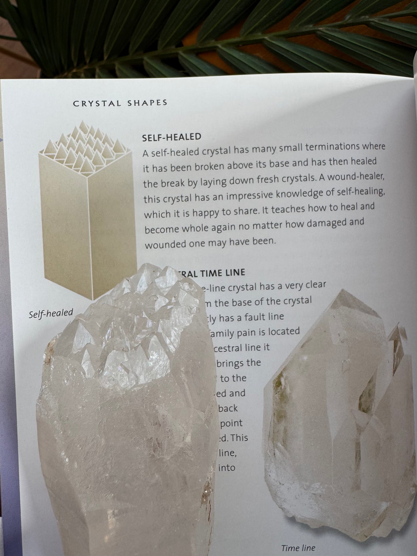 Self healed Clear Quartz Raw Point