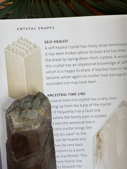 Self healed Smoky  Lodolite Quartz