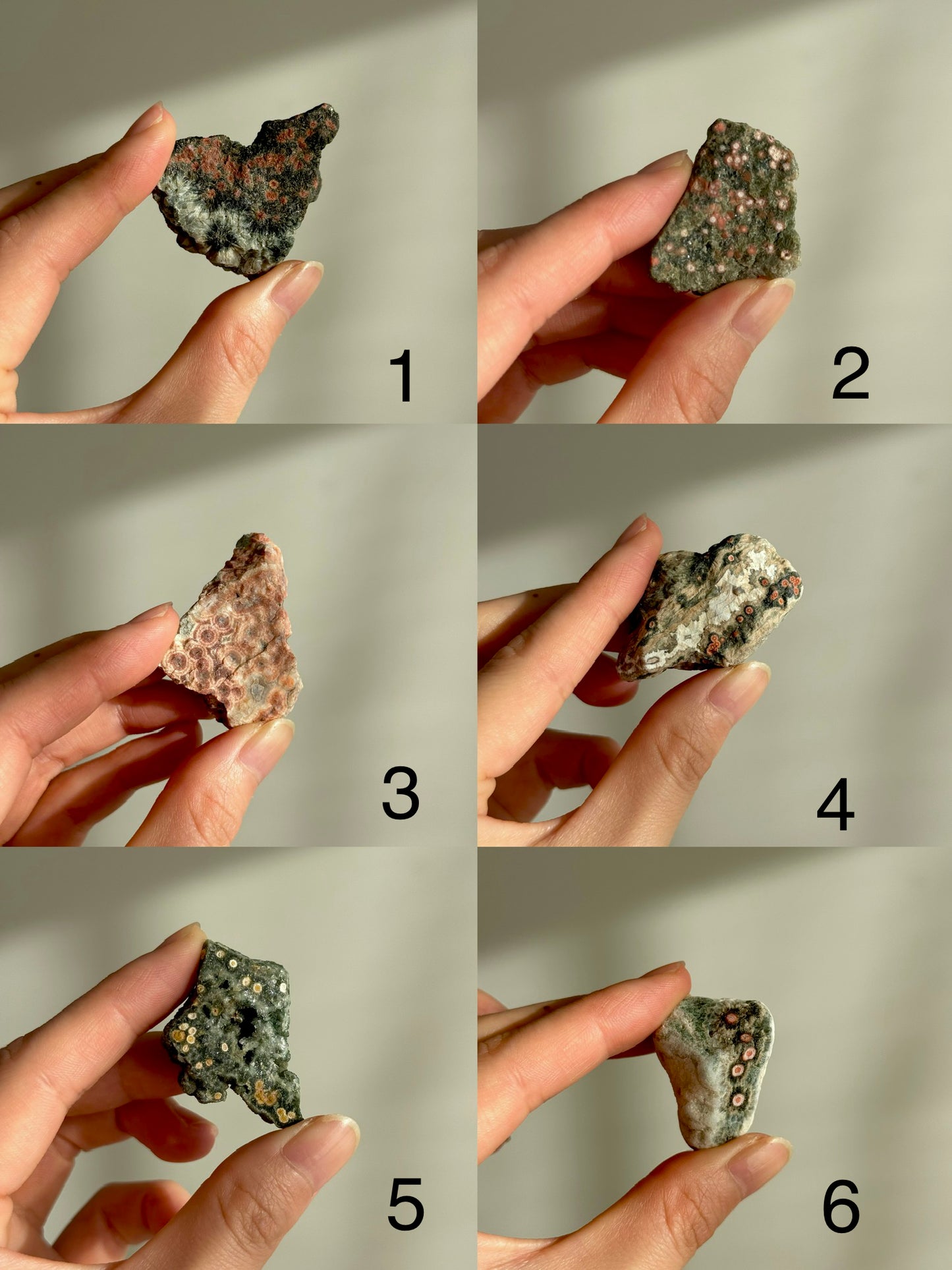 Old Stock Orbicular Ocean Jasper Raw