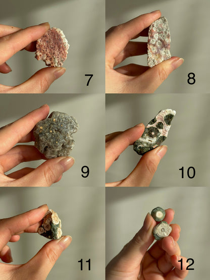 Old Stock Orbicular Ocean Jasper Raw