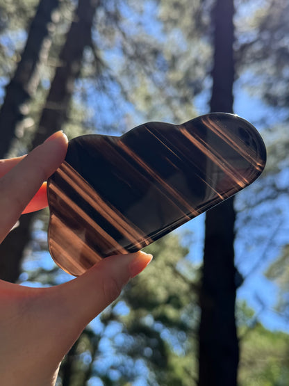 Midnight lace obsidian Cloud Carving