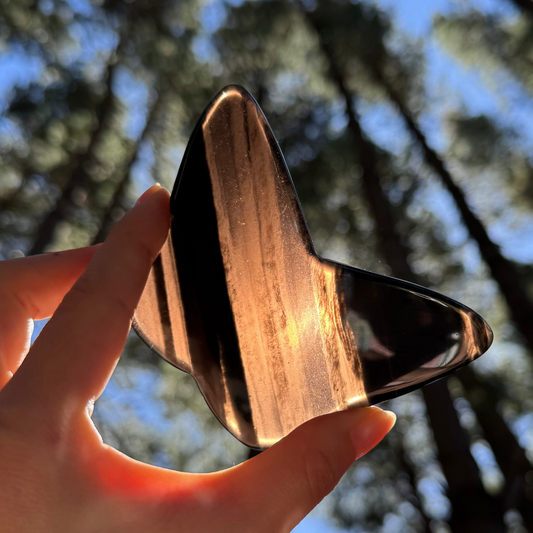 Midnight lace obsidian Butterfly Carving