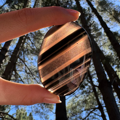 Midnight lace obsidian Plamstone (M)