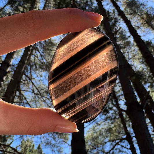 Midnight lace obsidian Plamstone (M)