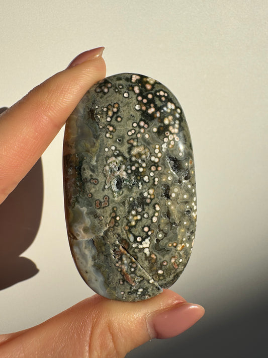Orbicular Ocean Jasper Palmstone