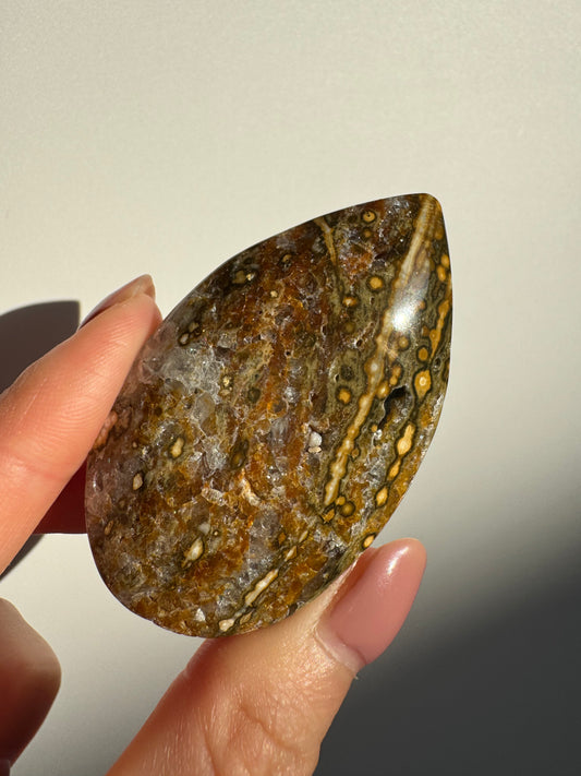 Orbicular Ocean Jasper Palmstone