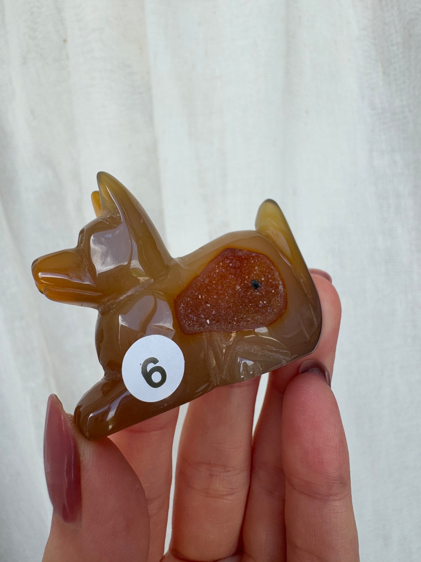 Agate Druzy Puppy/Dog