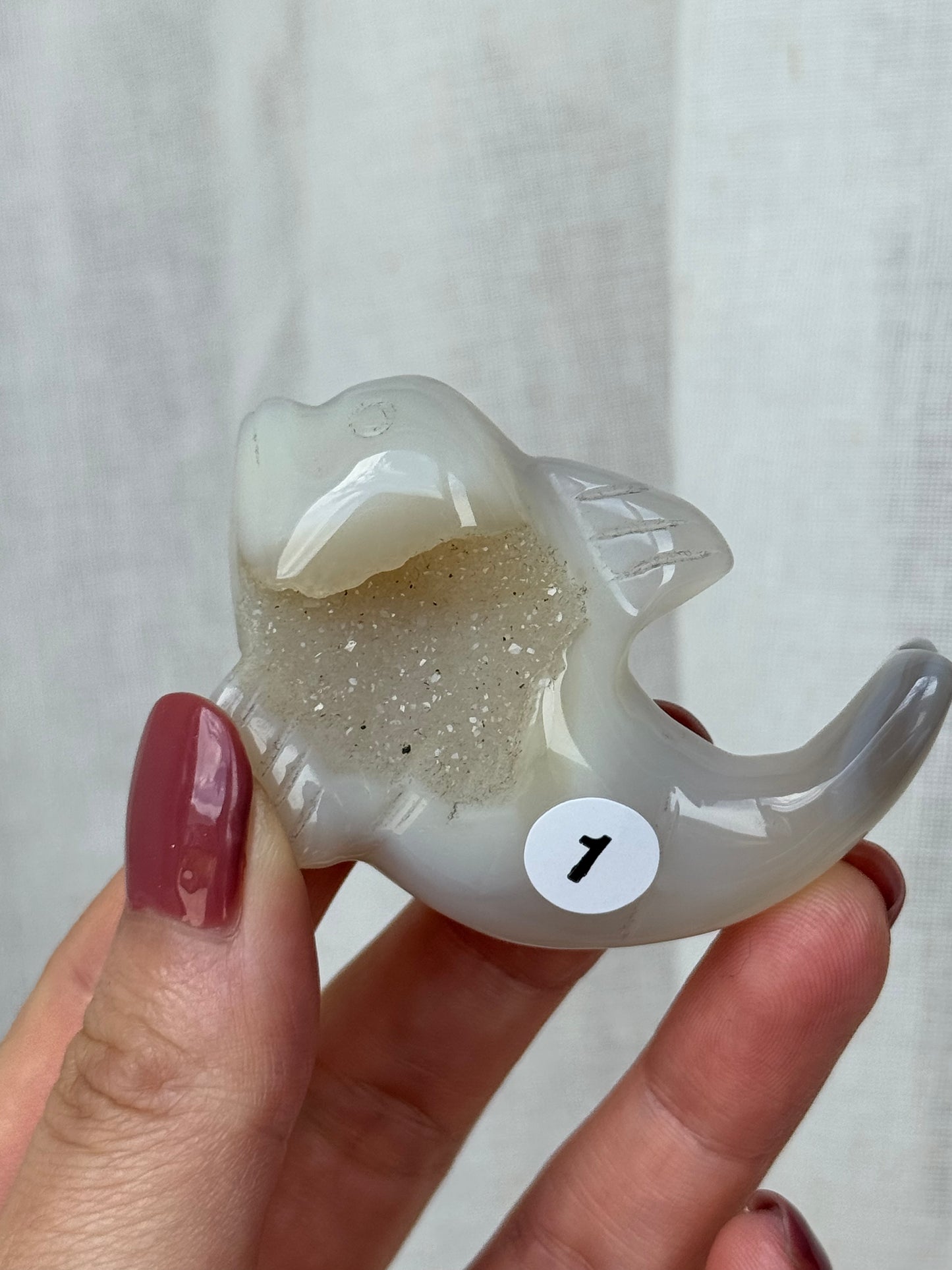Agate Druzy Dolphin