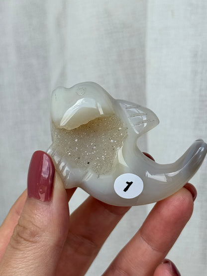 Agate Druzy Dolphin