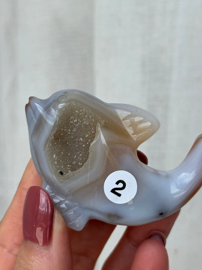 Agate Druzy Dolphin