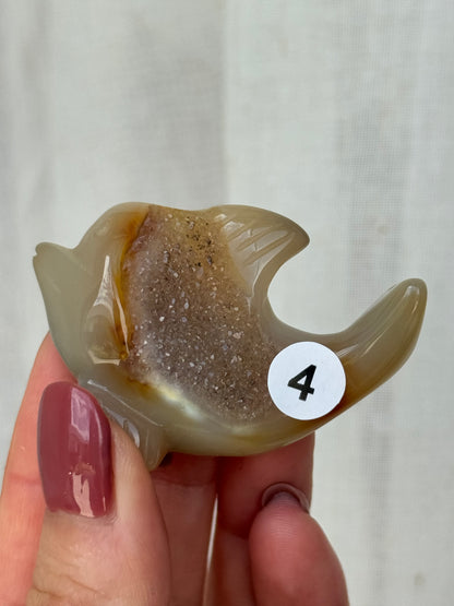 Agate Druzy Dolphin
