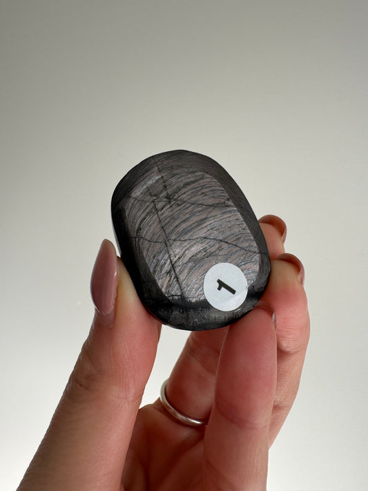 Hypersthene Palmstone #1