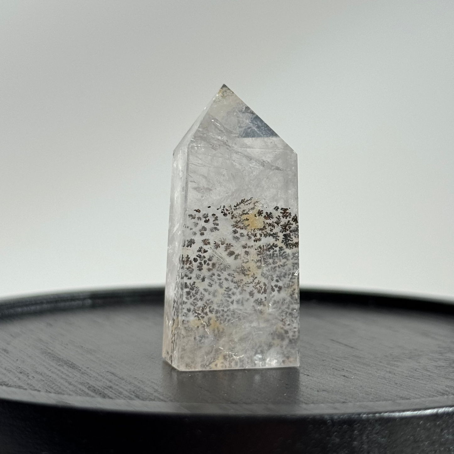 Dendritic Point #1