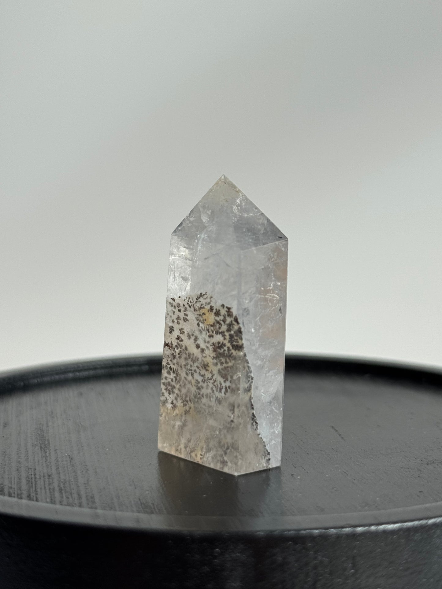 Dendritic Point #1