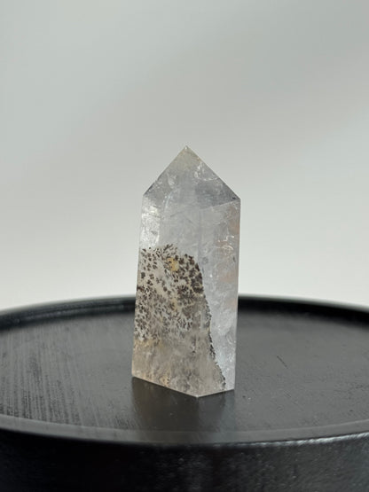 Dendritic Point #1