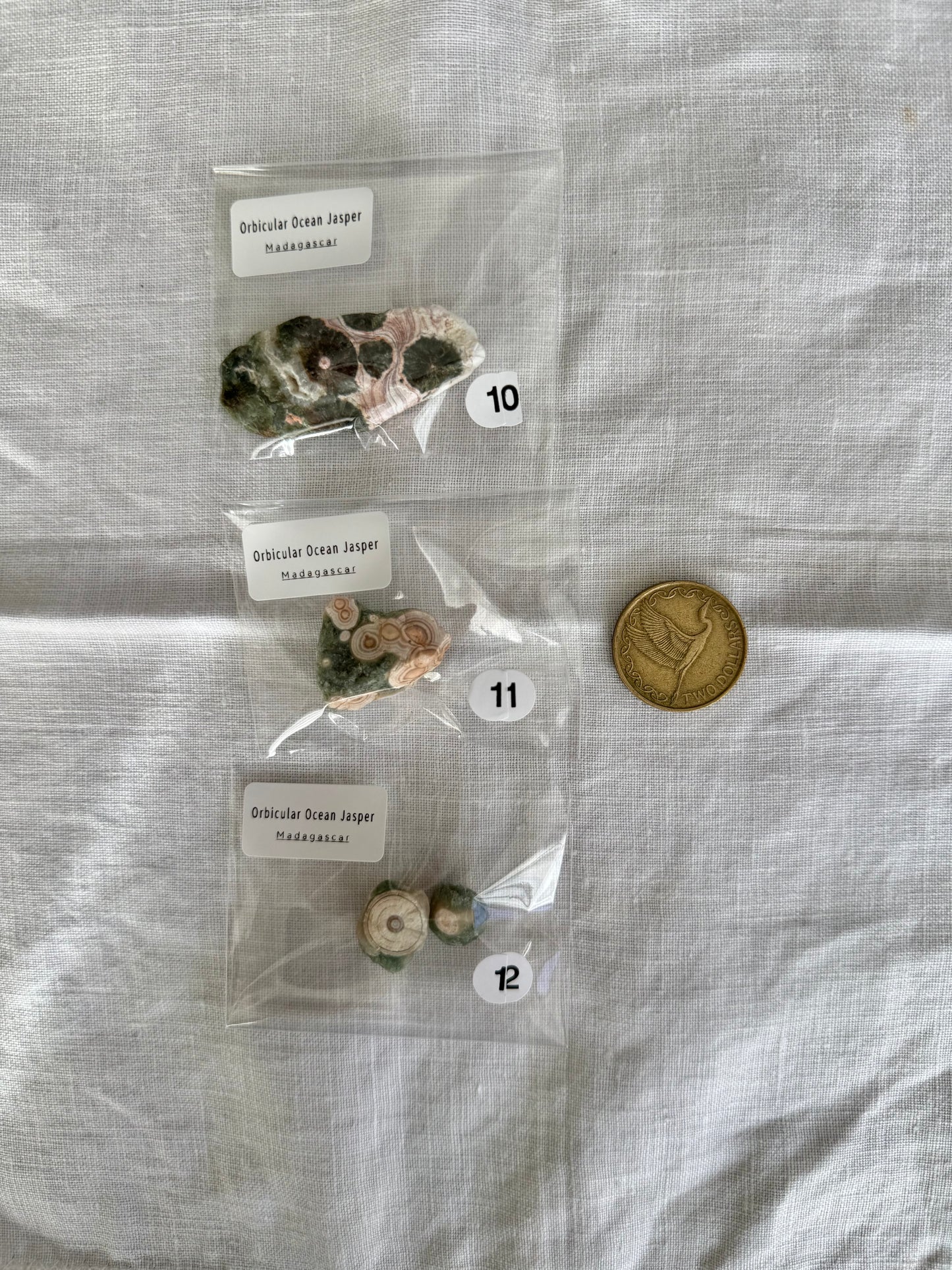 Old Stock Orbicular Ocean Jasper Raw
