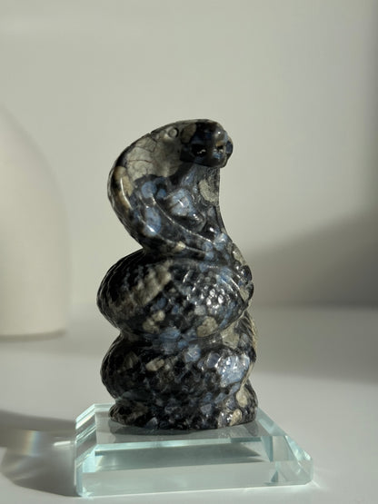 Blue Que Sera Stone Double Headed Serpent