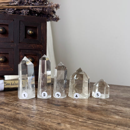 Blue Angel Feather Phantom Clear Quartz Point #3