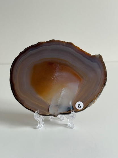 Agate Slice