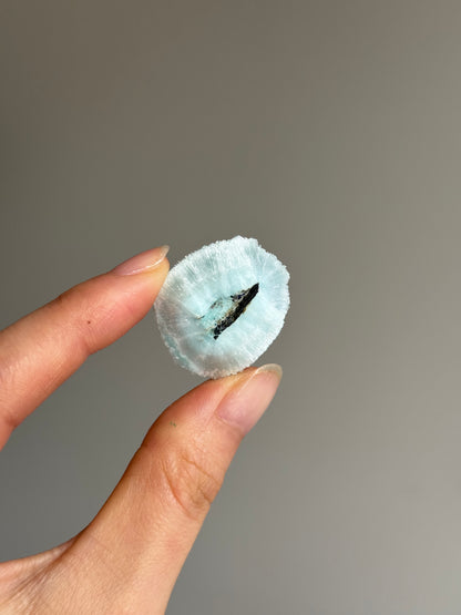 Blue Aragonite Needle Cluster Specimens #1