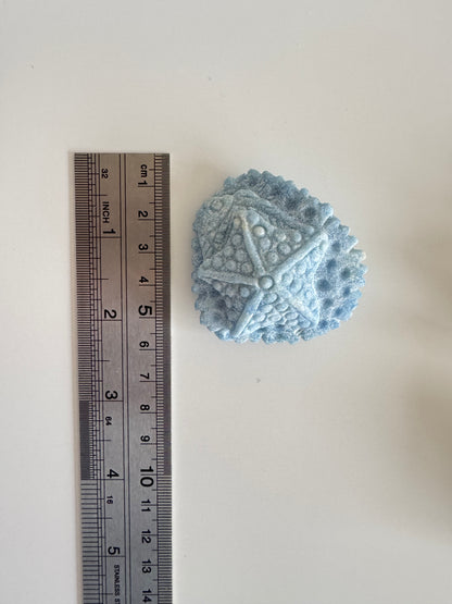 Blue Aventurine Starfish