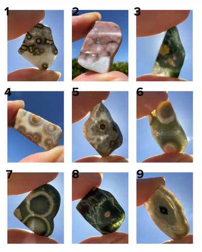 Old Stock Orbicular Ocean Jasper 1 - 9