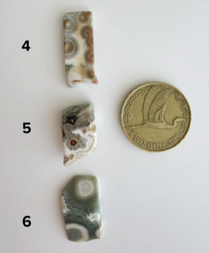 Old Stock Orbicular Ocean Jasper 1 - 9