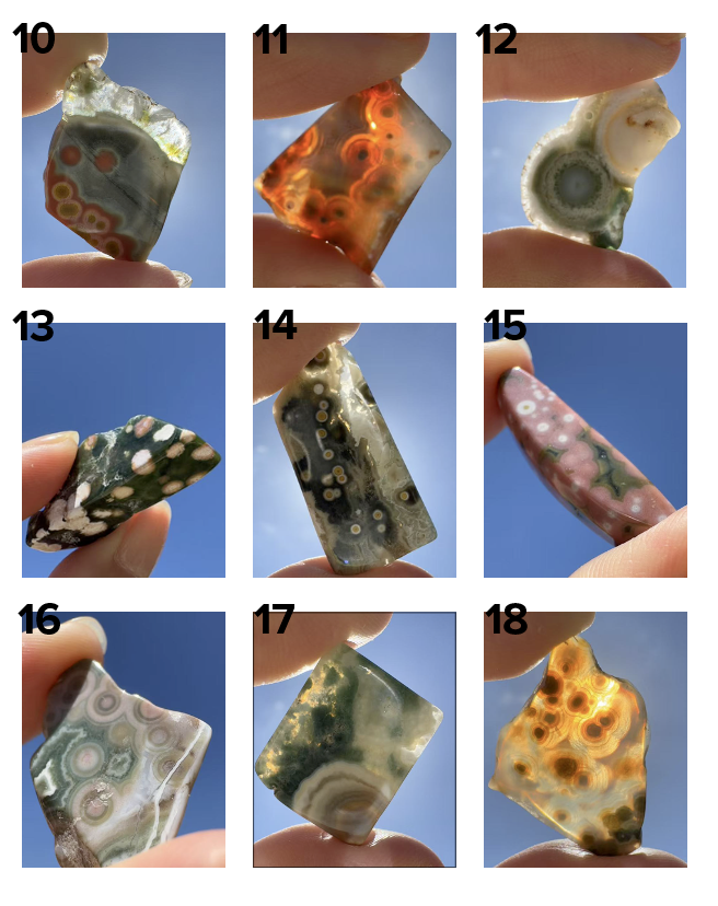 Old Stock Orbicular Ocean Jasper 10-18