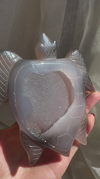 Agate Druzy Turtle (Large) 278g