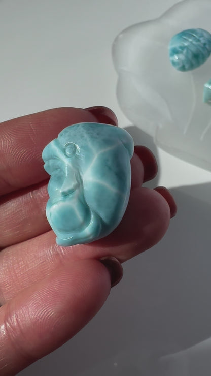 HG Larimar Dolphin Carving