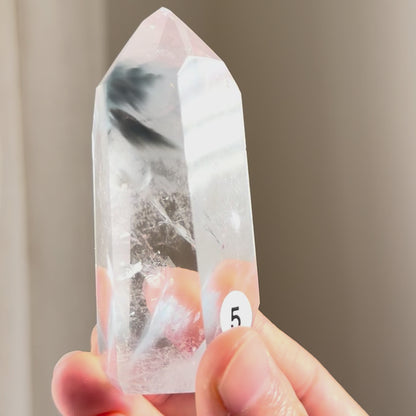 Amphibole Blue Tara Quartz Point #5