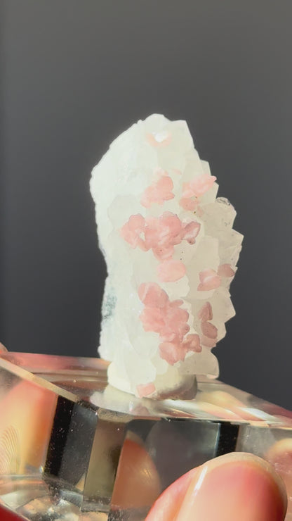Rhodochrosite on Quartz (with pyrite) Specimen