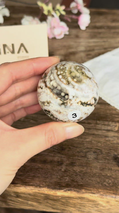 Old Stock Orbicular Ocean Jasper Sphere #3