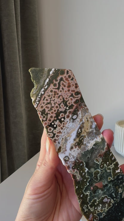 Old Stock Orbicular Ocean Jasper Slab 163g