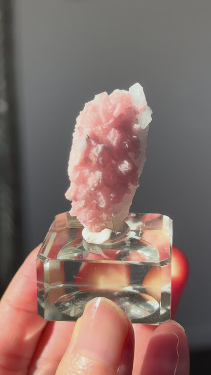 Rhodochrosite on Quartz (with pyrite) Specimen