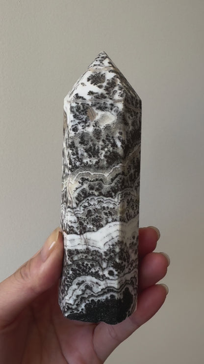 Dendritic Calcite Point