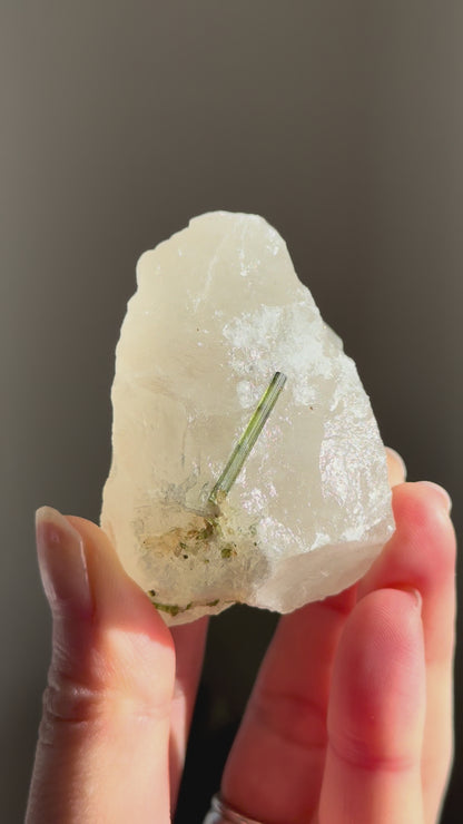 Green Tourmaline in Quartz #3