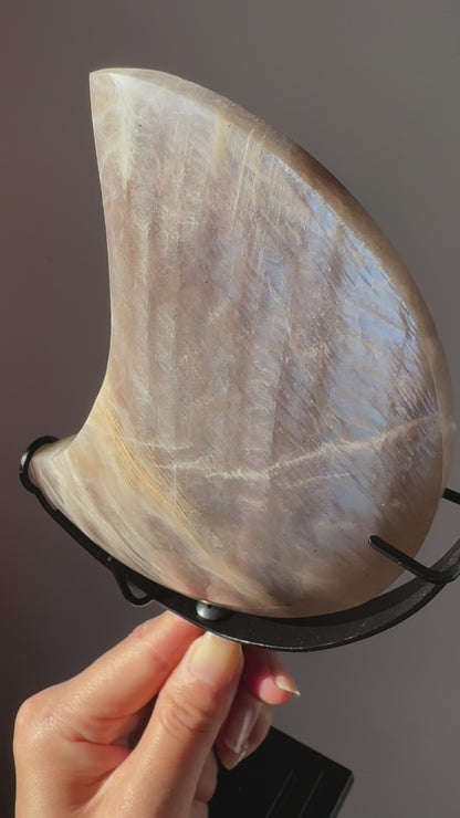 Large Moonstone Moon on Stand golden and blue flash (video）