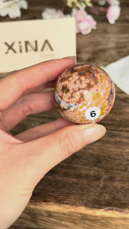 Old Stock Orbicular Ocean Jasper Sphere #6