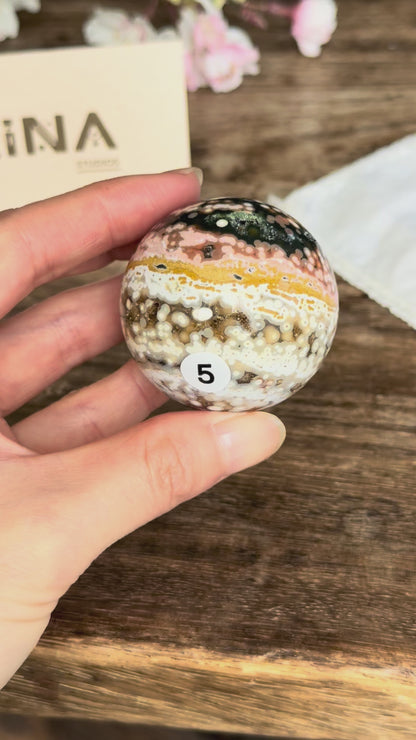 Old Stock Orbicular Ocean Jasper Sphere #5