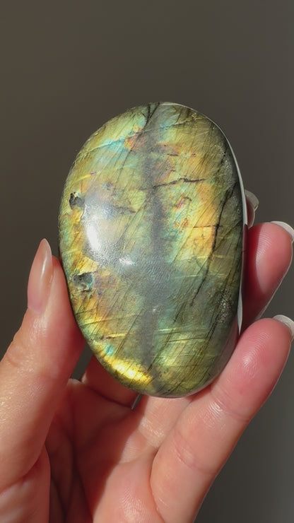 HG Labradorite Palmstone  #4