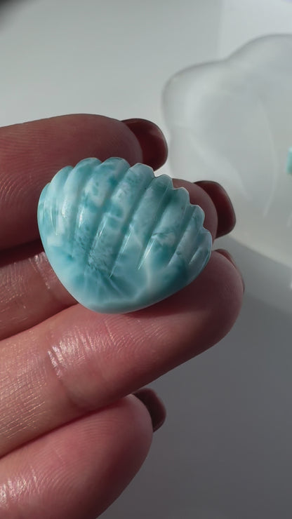 HG Larimar Shell Carving